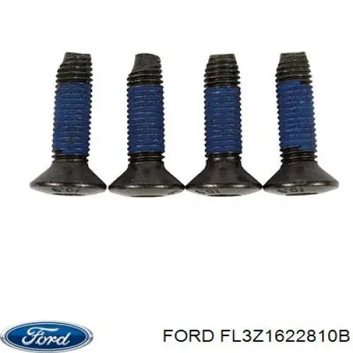 FL3Z1622810B Ford Петля передніх дверей, правою