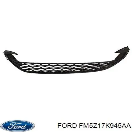  Ford 1862250
