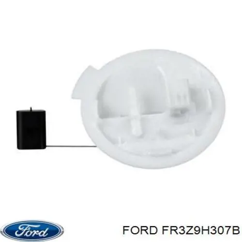FR3Z9H307B Ford 