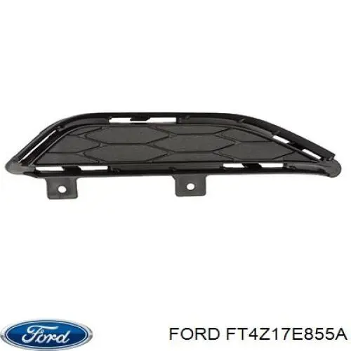 Купити FT4Z17E855A Ford Абсорбер (наповнювач) бампера заднього