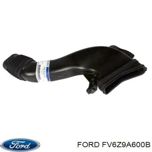 FV6Z9A600B Ford Коробка фільтра