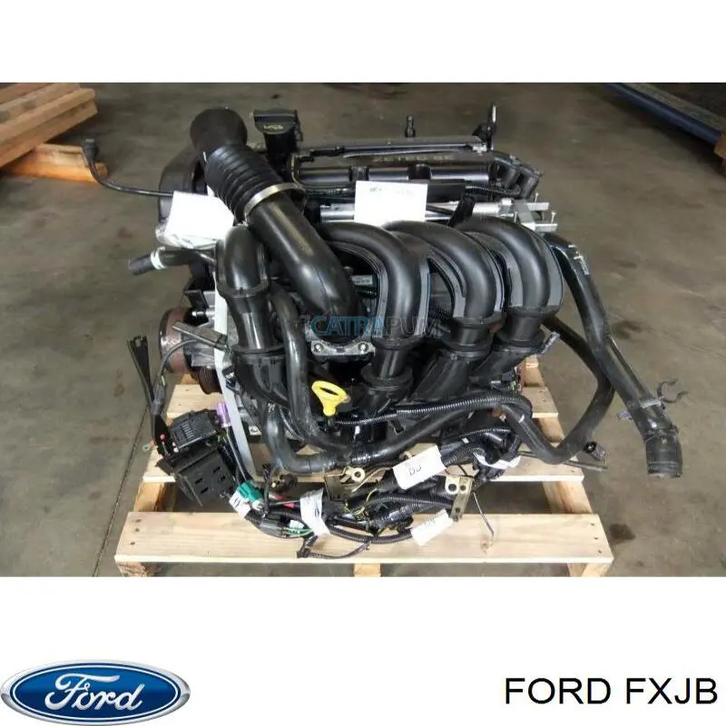 FXJB Ford Мотор в зборі