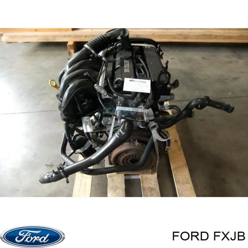 Купити FXJB Ford Двигун