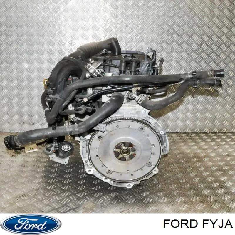 FYJA Ford Мотор в зборі