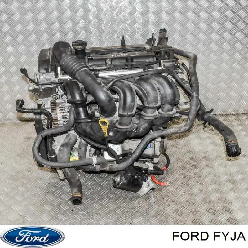 Двигун у зборі FYJA Ford