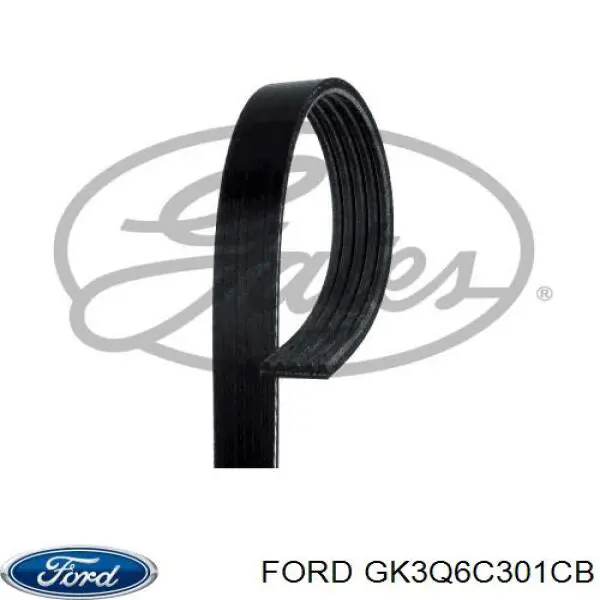 Клиновий ремінь Ford GK3Q6C301CB ціна, від 4.57 USD