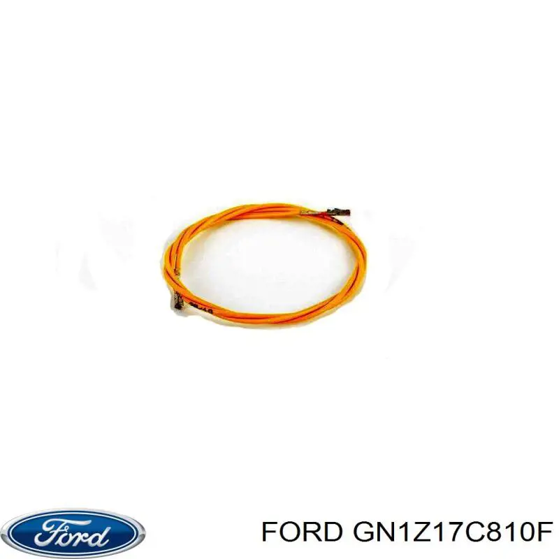 Купити GN1Z17C810F Ford 