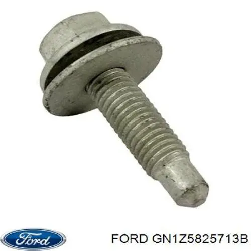 GN1Z5825713B Ford 