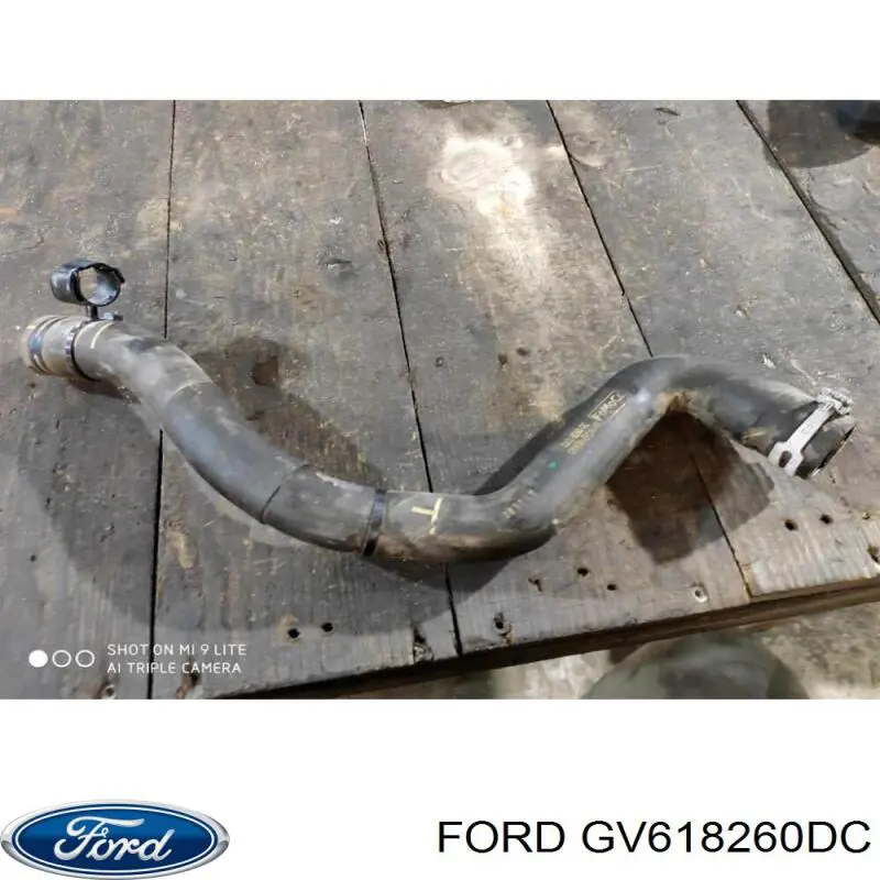 GV618260DC Ford 