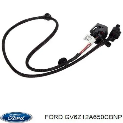  GV6Z12A650CBNP Ford