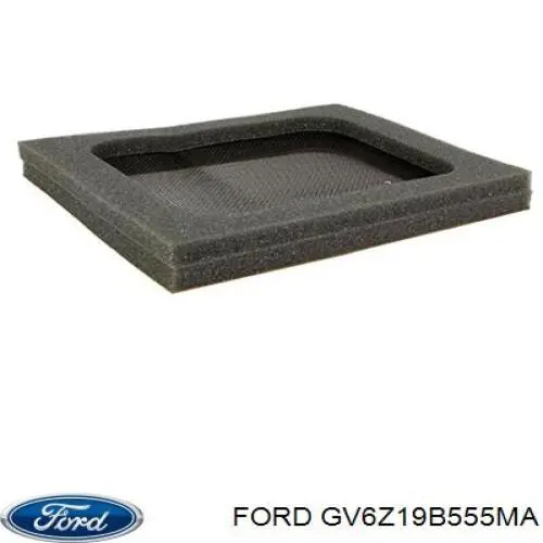 GV6Z19B555MA Ford 
