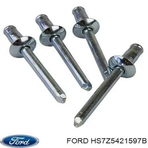 Купити HS7Z5421597B Ford 