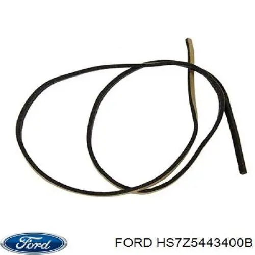 Купити DS7Z5443400A Ford Ручка третіх дверей, зовнішня
