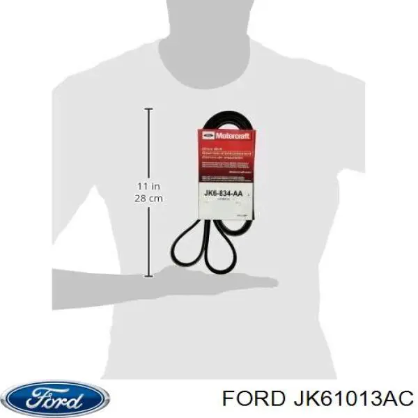 JK61013AC Ford Поліклиновий ремінь