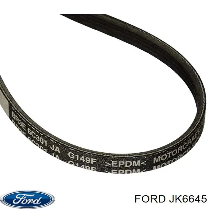 BL3Z8620A Ford Поліклиновий ремінь