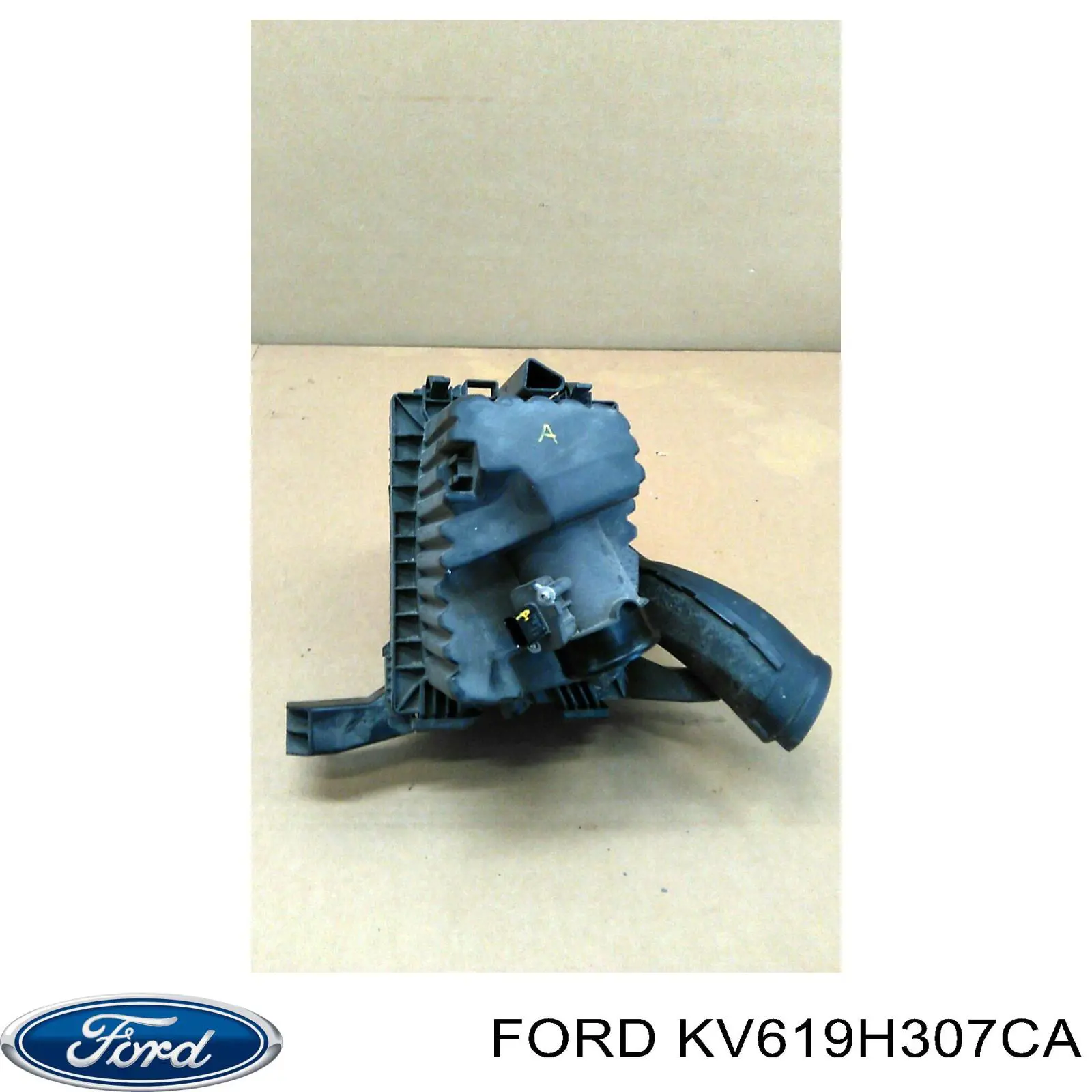 Купити KV619H307CA Ford Насос занурювальний в баці