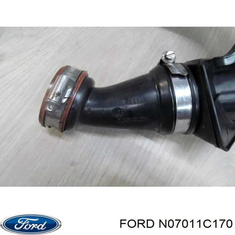  N07011C170 Ford