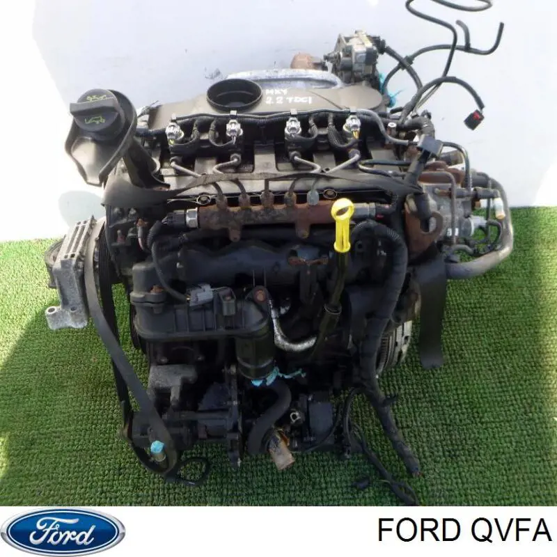 QVFA Ford Мотор в зборі