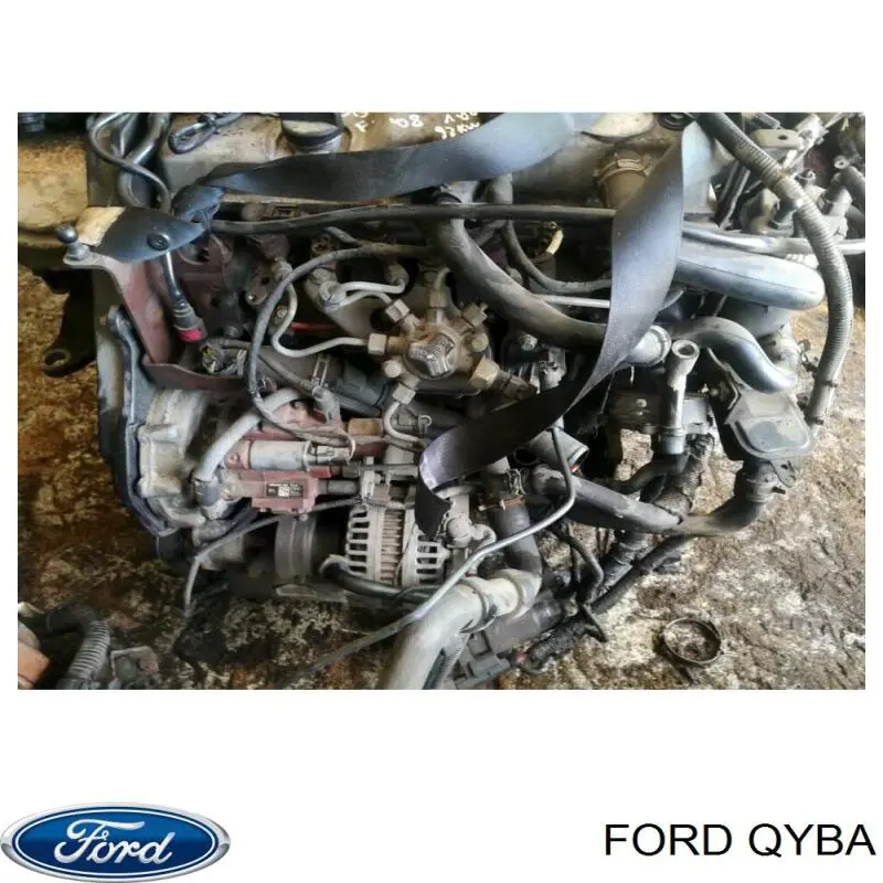 QYBA Ford Мотор в зборі