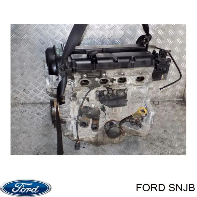 Двигун SNJB Ford