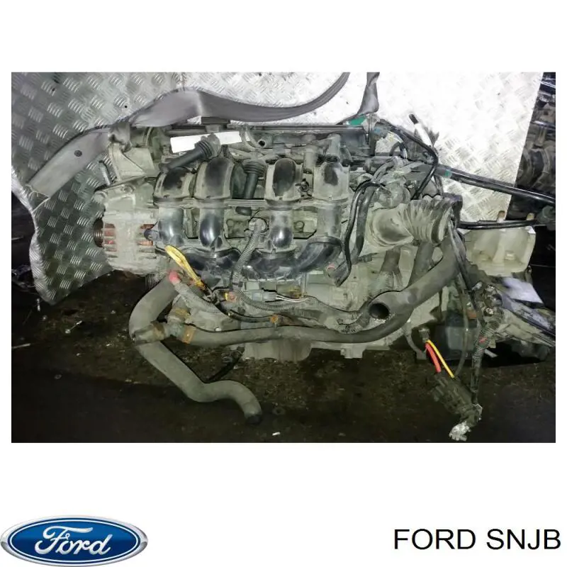 SNJB Ford Мотор в зборі