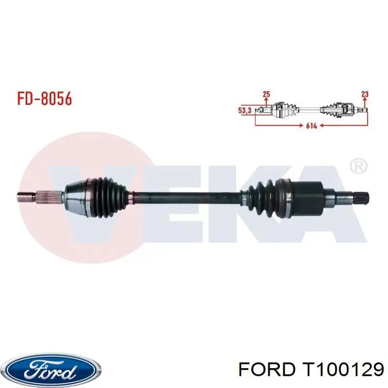  T100129 Ford