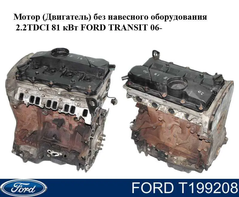 T199208 Ford Натягувач ланцюга ГРМ