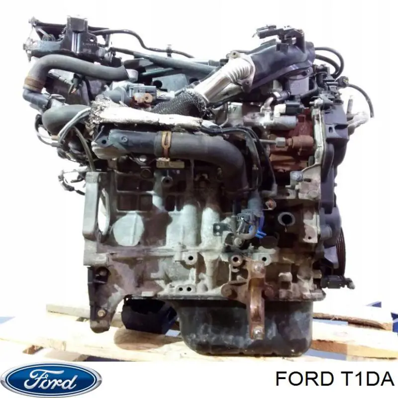 Купити T1DA Ford Двигун