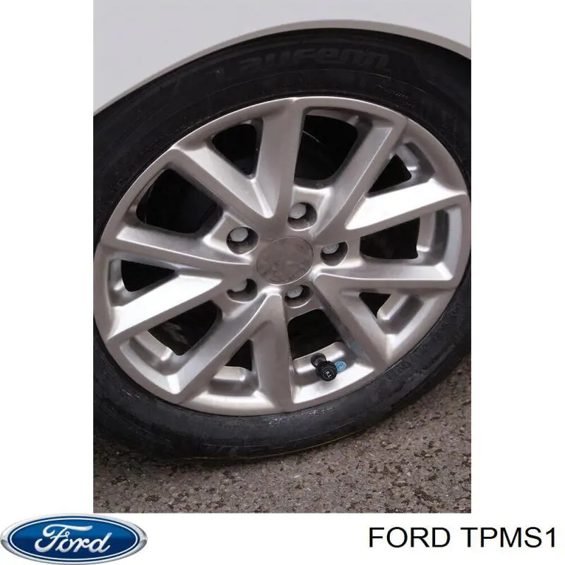 Манометр повітряний Ford TPMS1 ціна, від 27.85 USD