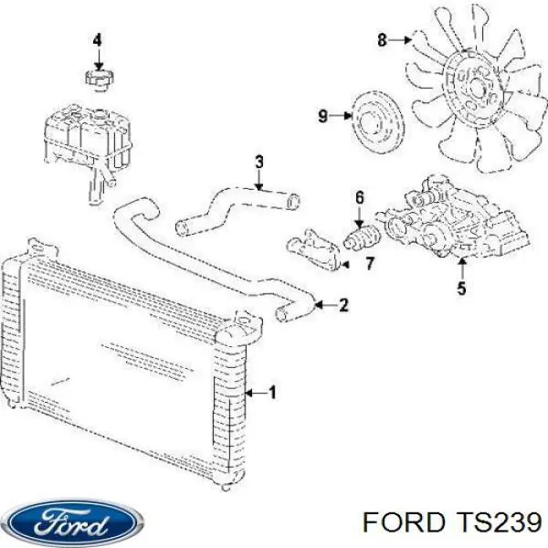 Купити TS239 Ford Пильники ШРКШів передній піввісі, комплект