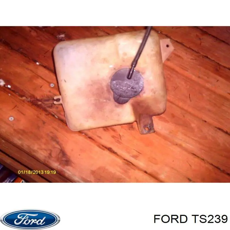 TS239 Ford Пильники ШРУСів передній піввісі, комплект