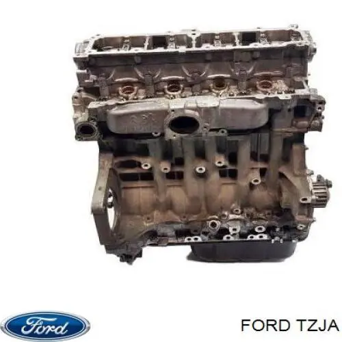 TZJA Ford Мотор в зборі