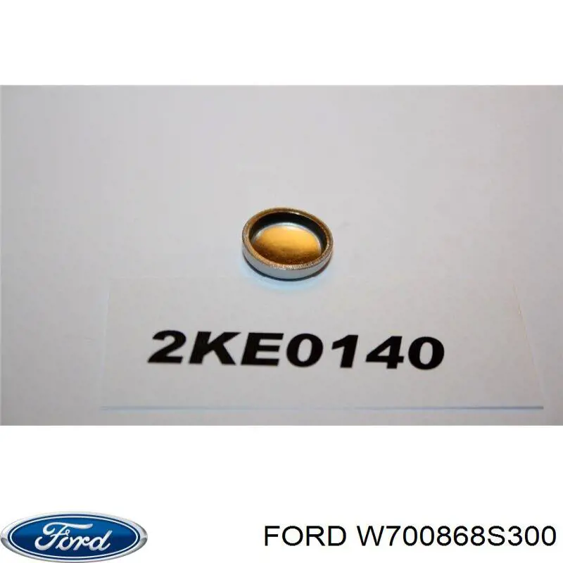  Ford W700868S300 ціна, від 1.53 USD