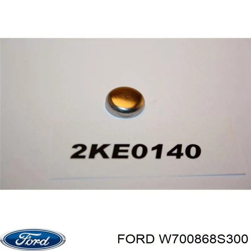 W700868S300 Ford 
