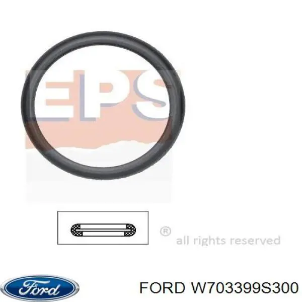 W703399S300 Ford прокладка термостата
