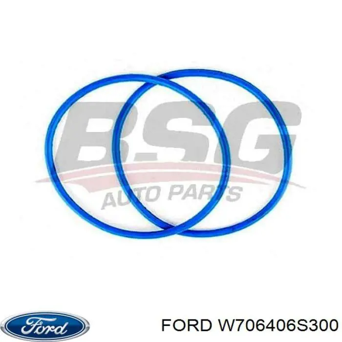 Купити W706406S300 Ford Муфта вязкостная системи охолодження