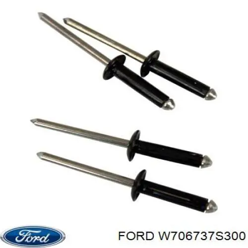 Купити W706737S300 Ford 