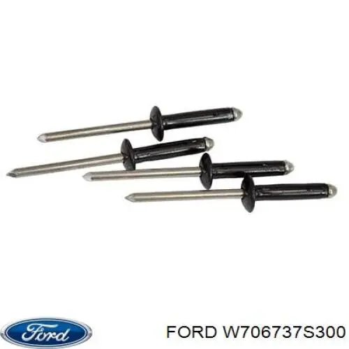 W706737S300 Ford 