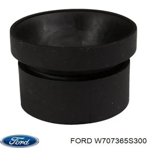 W707365S300 Ford 