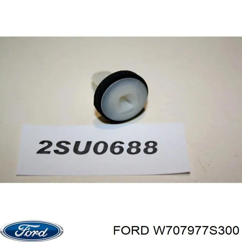  W707977S300 Ford