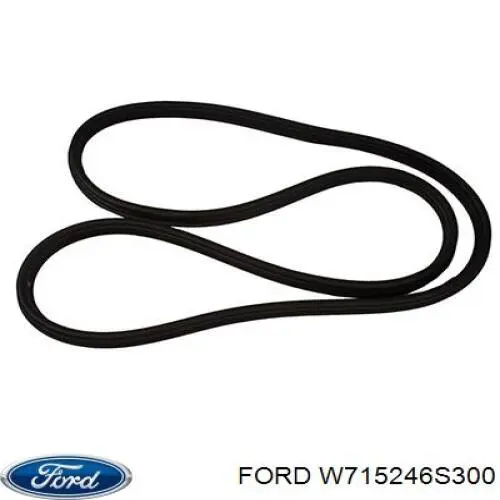  Ford W715246S300 ціна, від 4.70 USD