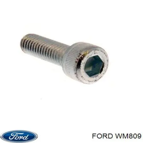 Мотор стеклоочищувача Ford WM809 ціна, від 14.07 USD