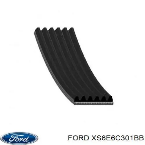 Купити XS6E6C301BB Ford Ремінь генератора