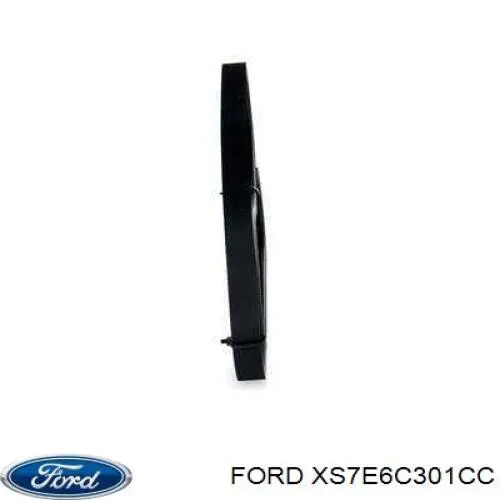 Купити XS7E6C301CC Ford Ремінь генератора