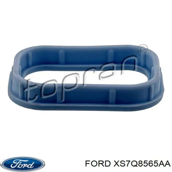 Купити XS7Q8565AA Ford Прокладка впускного колектора