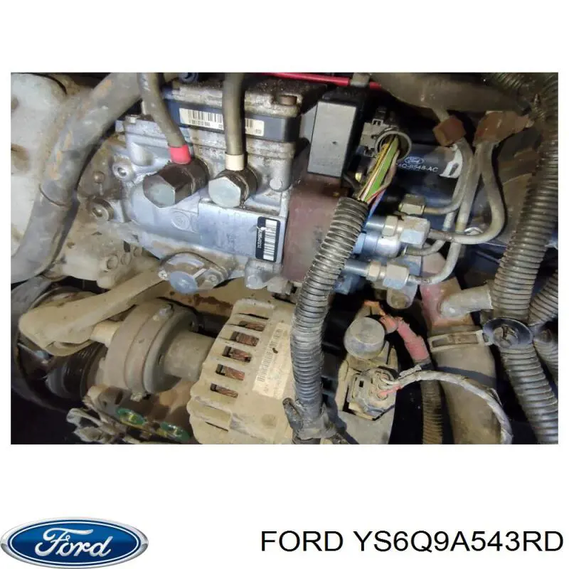 Купити YS6Q9A543RD Ford 
