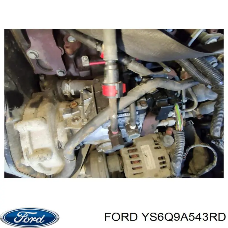  YS6Q9A543RD Ford