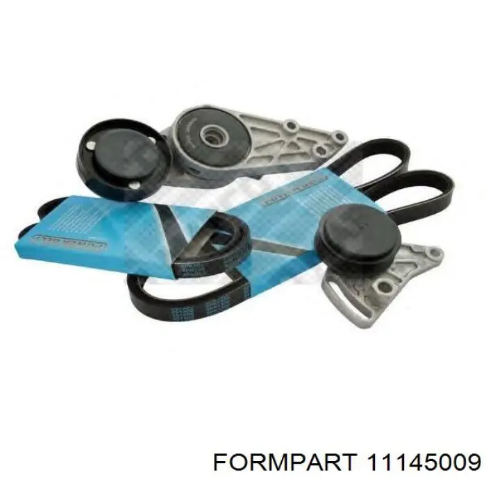 Натягувач приводного ременя Formpart/Otoform 11145009 ціна, від 22.14 USD