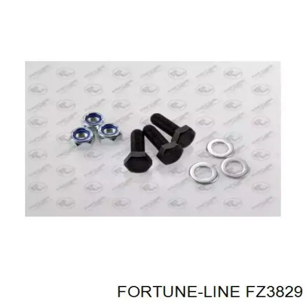 Кульова опора, нижня Fortune Line FZ3829 ціна, від 12.40 USD