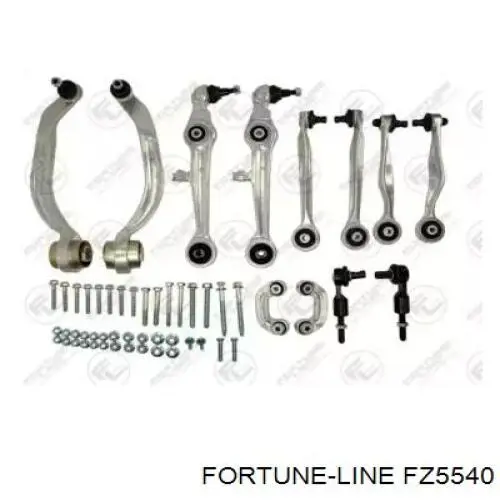 FZ5540 Fortune Line Ремкомплект підвіски